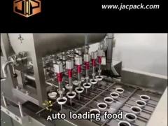 Full-Auto Pet Food Packing Machine