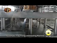 Automatic tray filling and sealing machine