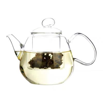 China Factory Sustainable Modern Pyrex Glass 800ml Hand Blown Teapot With Strainer Flower Pot Glass Teapot for sale