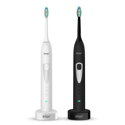 China Private Label IPX7 Waterproof Battery Operated Led Sonic Wholesale Smart Deep Clean Electric Toothbrush for sale