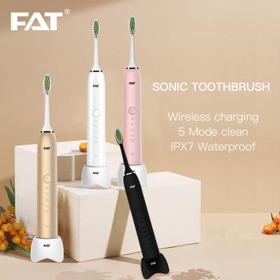 China SONIC Electric Toothbrush Battery Operated With 2pcs Electric Toothbrush Head Electric Toothbrush Motor for sale