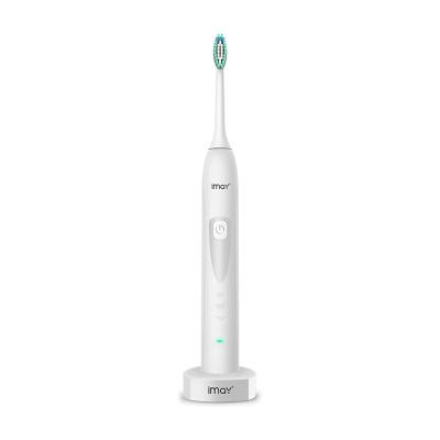 China Private Label Battery Operated 4 Style Sonic Rechargeable Automatic Electric Toothbrush Cordless Toothbrush Eco for sale