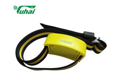 China Electronic Livestock ID Tags , Estrus And Disease Warning Neck Collars for sale