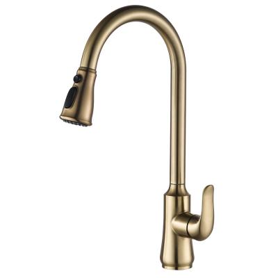 China Pull Out TB-4101 Tengbo Single Spray Long Neck Brass Body Kitchen Faucet for sale