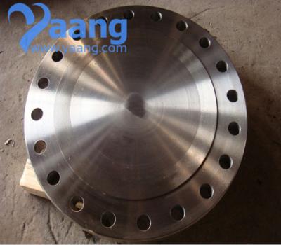 China ASTM A105 forged blind flange for sale