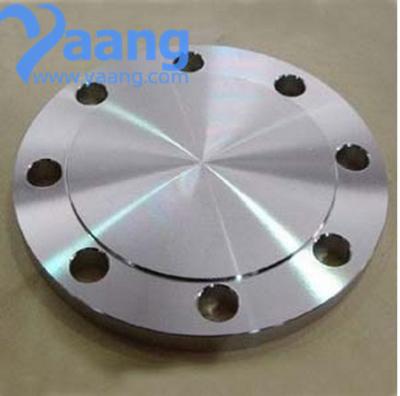 China 317 Stainless Steel Flange for sale