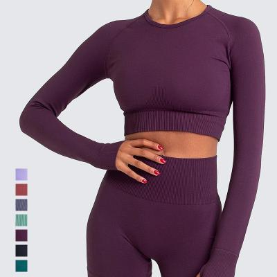 China Sets Gym Fitness Sets 2021 Woman Crop Long Sleeve Ribbed Top Set Seamless Yoga Sui Long Leggings High Quality for sale