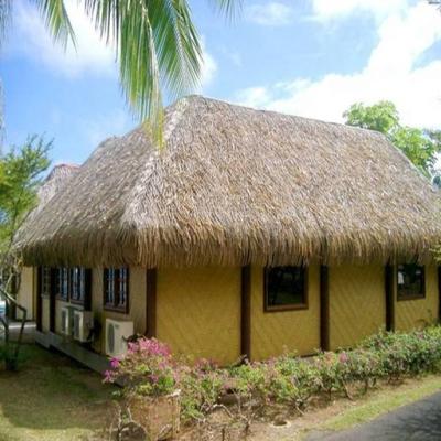 China Practical and durable tropical thatch plastic roof for sale