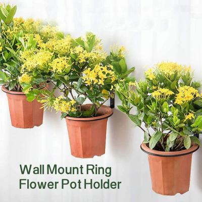 China 4 inch Wall Planter Ring Hanger Standard Wall Mounted Pot Hook Bracket for Wall Mount for sale