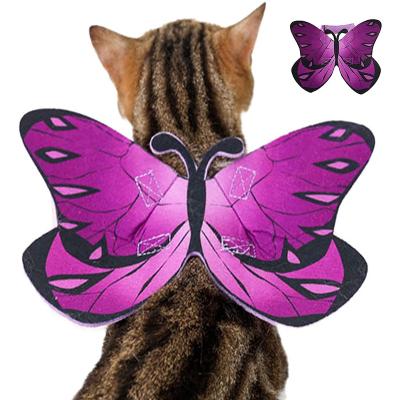 China Adjustable Pet Cat Butterfly Wings Costume Cat Collar Cosplay Large Butterfly Puppy Funny Cute Viable Pet Costume For Halloween Party for sale