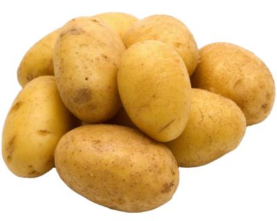 중국 Good quality fresh Holland potato size 150-250g for export, fresh potato sale at low price 판매용