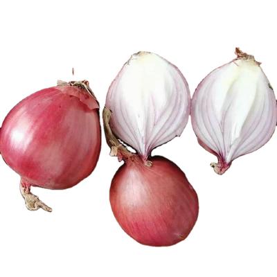 China Fresh Chinese cheap fresh onion red onions export the best new crop quality onions for sale