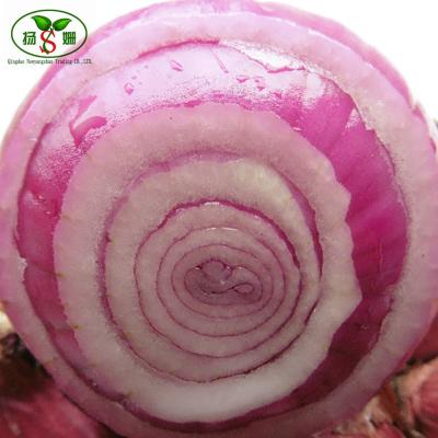 China Hot selling fresh onions good quality fresh bulk red onion onions and new crop for wholesale for sale