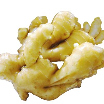 China Fresh Chinese Organic New Season Fresh Ginger For Sale,Premium Ginger Price,Wholesale Air Dried Ginger for sale