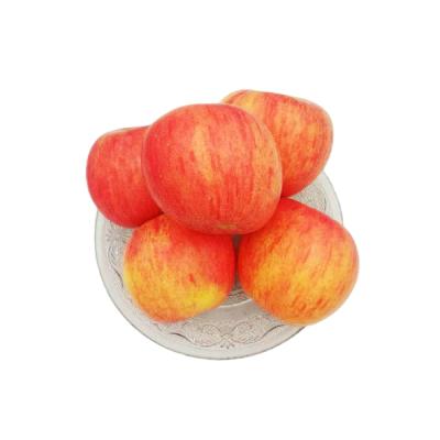 China Red on Skin High Quality China Fresh Fuji Apple with Natural Smell/Taste of Season's Fair Apple for sale