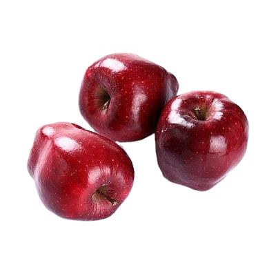 China Bright red on the skin premium fresh Chinese Apple variety red delicious and gala ingreat aroma of apple smell for sale