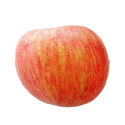 China Red on Skin Fresh China Grade Fuji Apple with Aromatic Natural Smell of Apple Right from the Farm for sale