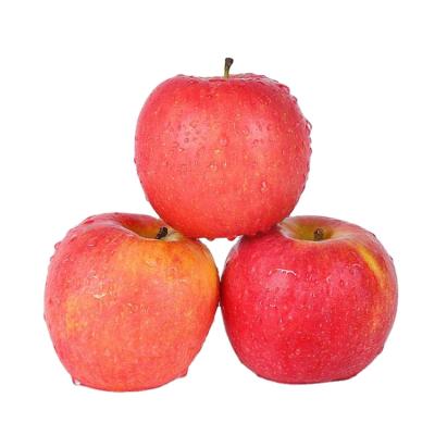 중국 New Fresh Season High Quality Fuji Red Apple For Sale, Fuji Delicious Apple Hot Sale In Dubai 판매용