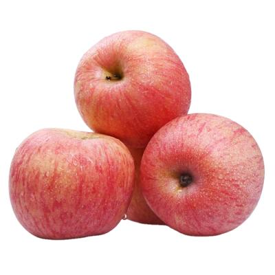 China Fresh delicious fresh fruit Fuji red apple with low price wholesale, 16 kg carton box fresh apple hot sale for sale