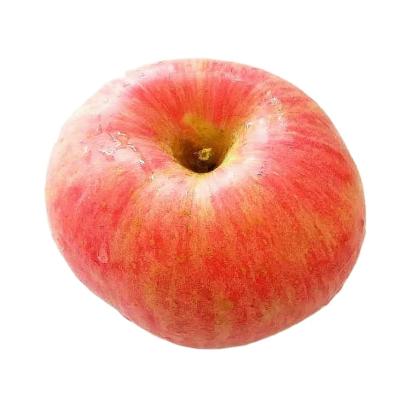 China Fresh Fresh Fuji Red Apple for Wholesale, Sweet and Crisp Fuji Red Apple Hot Sale in Dubai Market for sale