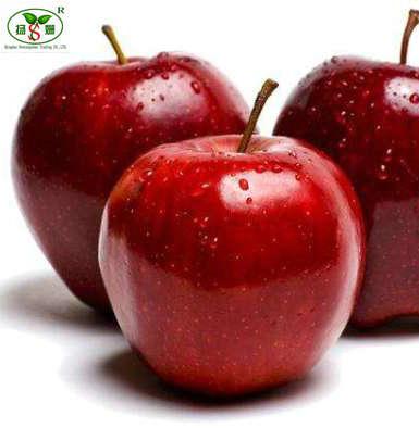 China Fresh sweet crisp fresh red delicious apple for wholesale and hot sale fresh red apple in Dubai for sale