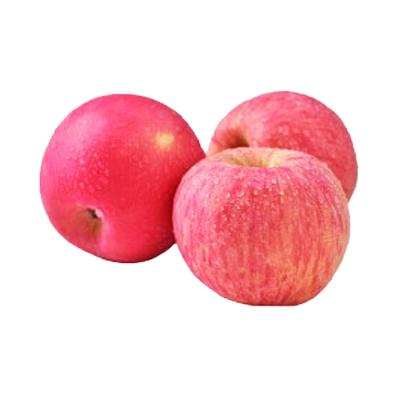 China Fresh apple import from china, red honey fuji apple supplier, hot selling fuji apple with lowest price for sale