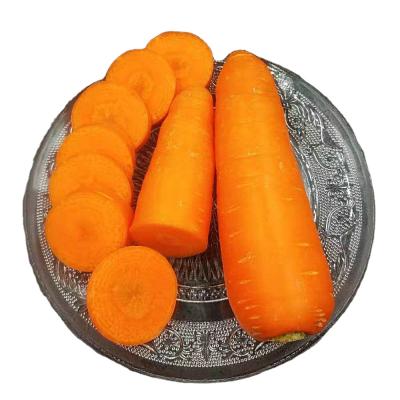 China China smooth fresh carrot export quality peel fresh carrots for sale non-peeled carrots for sale