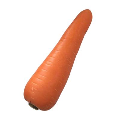 China Fresh price of fresh carrots, high quality organic fresh carrot specification for sale