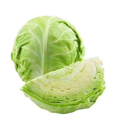 China Organic food china cabbage price new crop high quality fresh cabbage for sale, cabbage exporter in china for sale