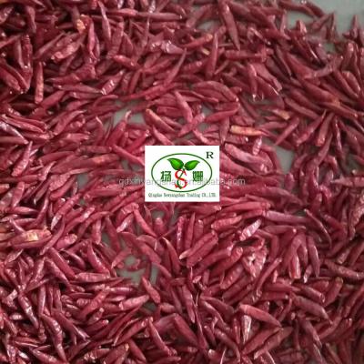 中国 CHILLI /DRIED CHILLI/CHINA (HOT) No.1 販売のため