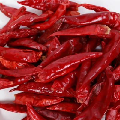 China Chilli/CHILLI/Exports Dry Red Europe and South Korea 001 Te koop