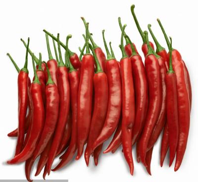 중국 DRY RED (HOT) CHILI PEPPERS/CHINA CHILI PEPPERS/RED CHILI PRICES 판매용