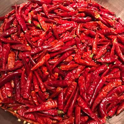 中国 FROZEN (HOT) Small Hot Pepper/Hot Peppers/Chaotian Peppers 販売のため