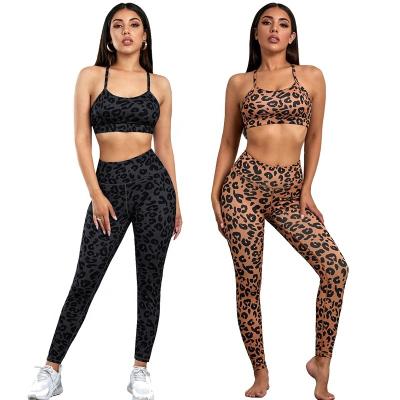 China Sale Women Leopard Workout Suit Gym Wear Breathable Warm Seamless Fitness High Waist Leggings Printing Yoga Sets for sale