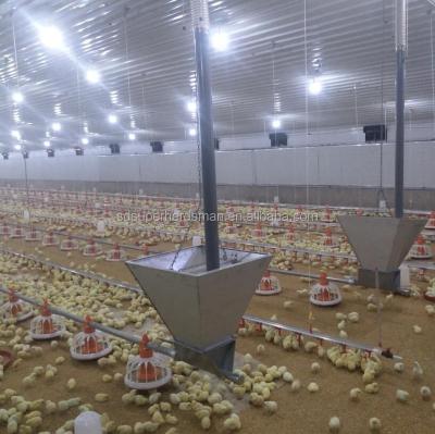 China Automatic Broilers Poultry Keeping Equipment for sale