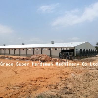 China Commercial Poultry House Poultry House With Breeding Equipment for sale