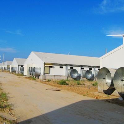 China Steel Fabricated House Poultry Farm Prefab Design Layout For Commercial Broiler for sale