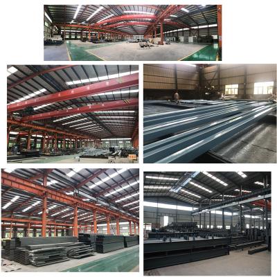 China Easily Instasll Light Steel Structure Prefab Poultry Chicken Farm House With Customized Design for sale