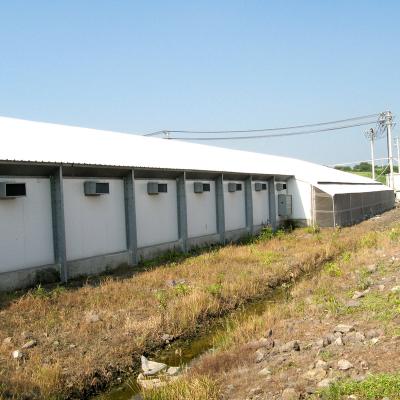 China Farms Complete Set Steel Structure Poultry House For Chicken for sale