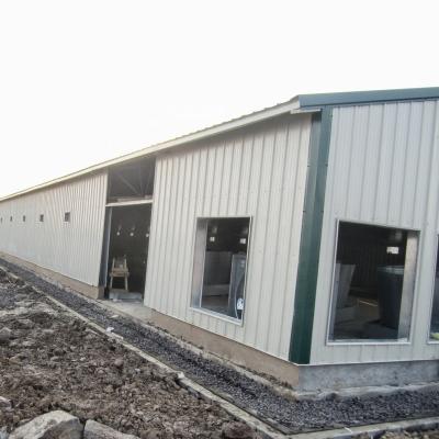 China High Quality Steel Workshop Steel Structure Poultry House for sale