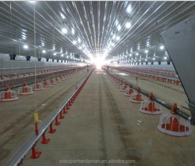 China Farms Poultry Farming Automatic Equipment for sale