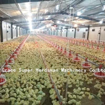 China One Stop Poultry Farm Construction Poultry Farm Equipment with Prefab Poultry Building for sale