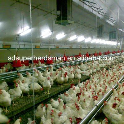 China High Quality Poultry Control Shed Equipment For Broiler Farm Customized for sale