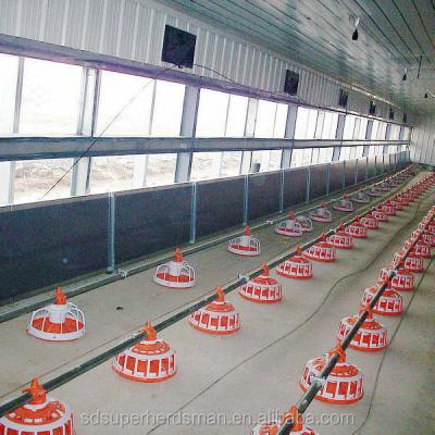 China High quality automatic poultry farm equipment for broiler 12-20nipples and 3-4holes per meter for sale