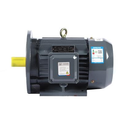 China Drip-proof China OEM ODM YE3 380V Premium high speed Efficiency 0.55KW three phase asynchronous ac electric motors for sale