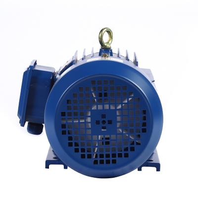 China Drip-proof Chinese suppliers YE4 series  High voltage three-phase synchronous motor for sale