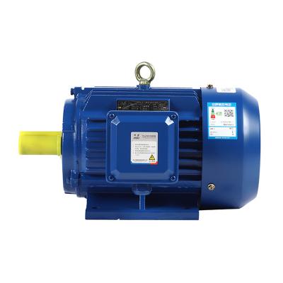 China Drip-proof 2022 OEM electromagnetic speed regulating motor three-phase asynchronous motor for sale