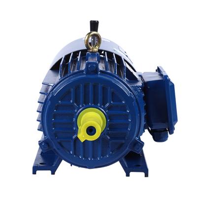 China Drip-proof High Quality Drip-proof Adjustable Speed Single-phase 3 phase Aluminum Ac Electric Induction Motor for sale