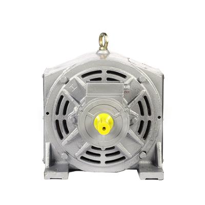 China Drip-proof Wholesale 4 KW Electromagnetic manual brake three phase synchronous asynchronous induction motors for sale