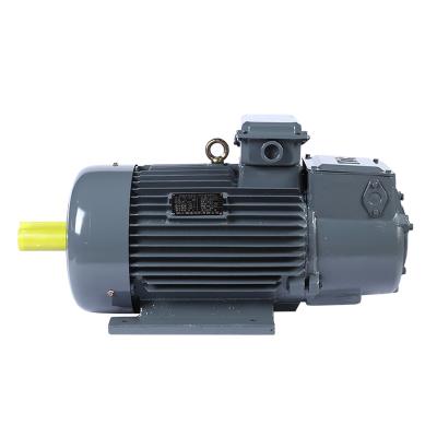 China Drip-proof 2022  hot selling High quality YZR160L-6 three-phase asynchronous motor from China for sale